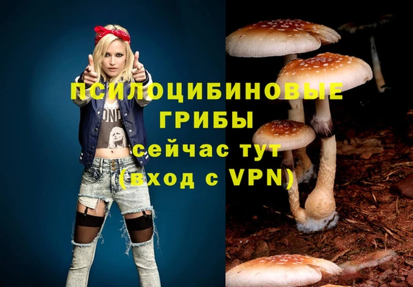 MDMA Белокуриха